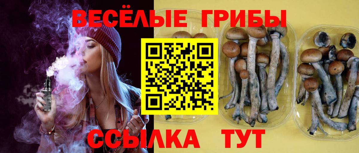 купить   Псилоцибиновые грибы прущие грибы  Вход с VPN  Ступино 