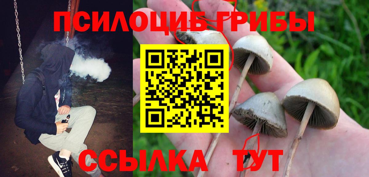 Псилоцибиновые грибы GOLDEN TEACHER Ступино